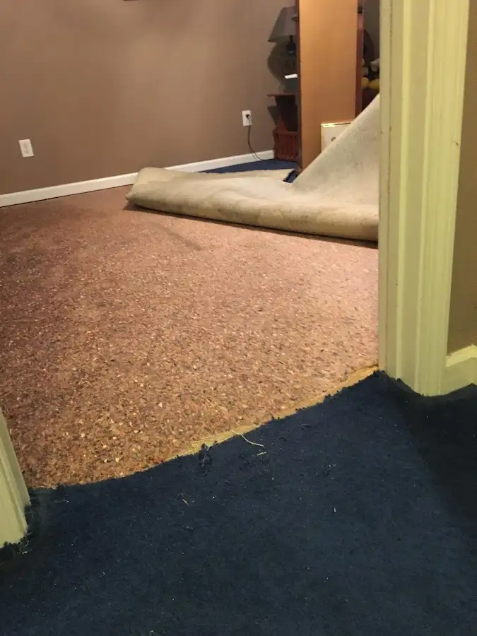 Carpet pad removal revealing water damage during Drying & Dehumidification in Chestertown